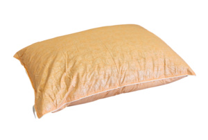 Dabīgu putnu spalvu un dūnu pildījuma spilvens 50x70 cm ZAĻŠ- 23230