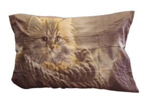 Kokvilnas (satīna) spilvendrāna AR SLĒDZI 70x80 cm- 23246