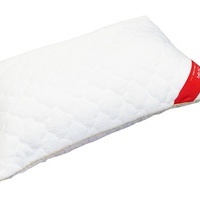 100% bambusa pildījuma spilvens 50x70 cm SNIEGBALTS- 22602