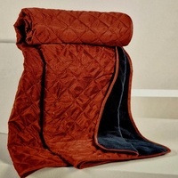 100% poliestera gultas pārklājs/plānā termosega 145x200 cm RŪSGANBRŪNS- 23634