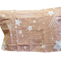 100% kokvilnas spilvendrāna 50x70 cm- 23183