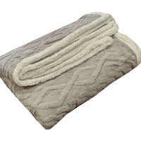 100% poliestera divkārtu pleds 200x220 cm GAIŠPELĒKS- 22603