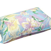 Dabīgu putnu spalvu un dūnu pildījuma spilvens 50x70 cm RAIBS- 22790