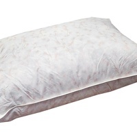 Dabīgu putnu spalvu un dūnu pildījuma spilvens 50x70 cm- 22791