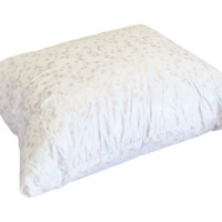 Dabīgu putnu spalvu un dūnu pildījuma spilvens 70x80 cm- 22958