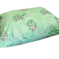 Dabīgu putnu spalvu un dūnu pildījuma spilvens 70x80 cm- 22960