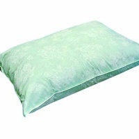 Dabīgu putnu spalvu un dūnu pildījuma spilvens 50x70 cm ZAĻŠ- 23157