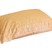 Dabīgu putnu spalvu un dūnu pildījuma spilvens 50x70 cm ZAĻŠ- 23230