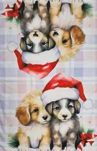 100% mikrošķiedras dvielis +/- 40x60 cm- 22634